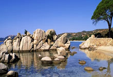 完美体育：[高尔夫]世界排名：劳瑞升入前20位 卡特尔接近前50位.